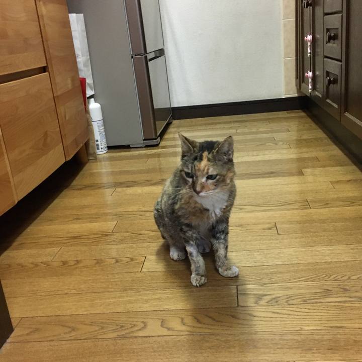 Fabcda86 0a50 46b3 9207 7b7a0b2da2d6 1578355246034