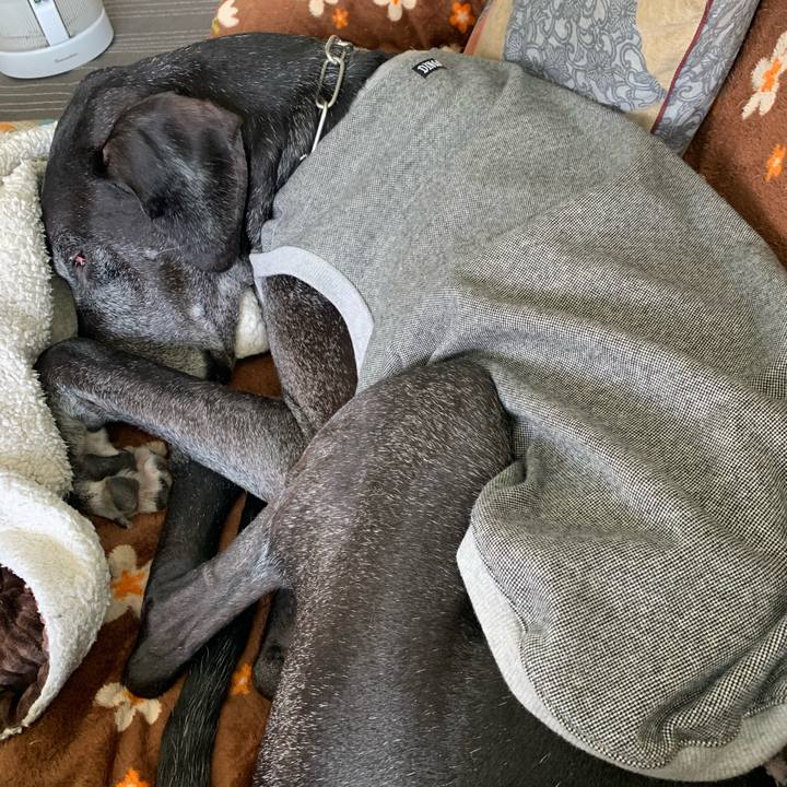 Fabced24 bc2c 46a8 8413 dd9c273ea4fc 1608354068762