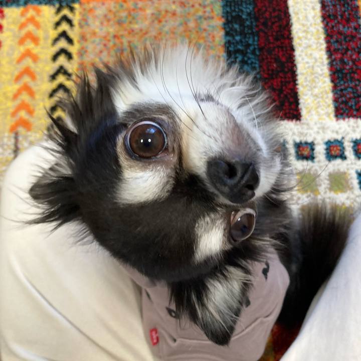 Fabd5505 5641 484c aff0 317c0331c6b8 1701515856638