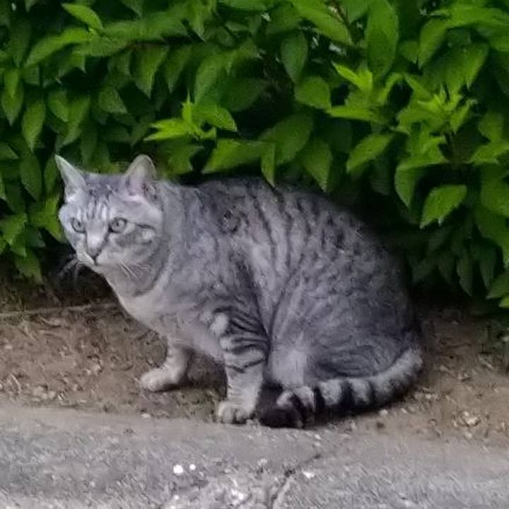 Fabda512 5716 4410 94ee dbeac6cbcda6 1624882825523