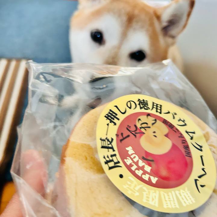 Fabdce4a b69f 419a 97e5 025d03c239e8 1733199931058