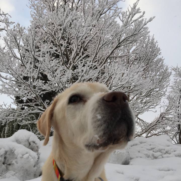 Fabdf191 c3a3 4859 aefc d3f344f8b8db 1519255102351