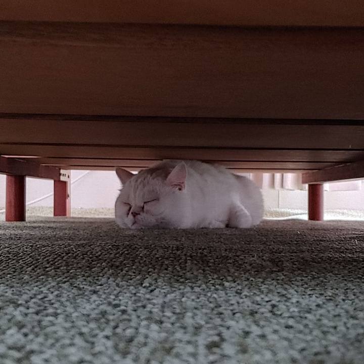 Fabe1e19 3887 4465 bbd4 2d14e0a7679f 1627262201200