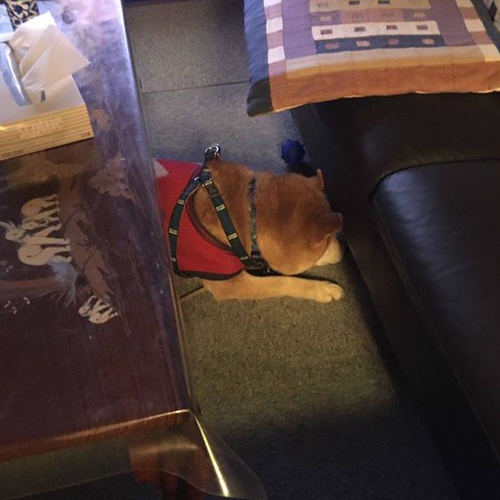 Fabe28bc 628a 48ef b63e 933c39211ab6 1547369703175