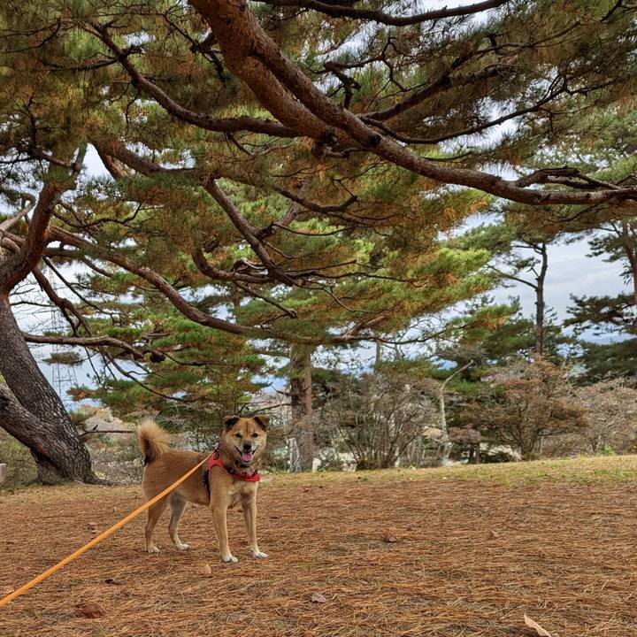 Fabe4bae a198 4c46 b37e fcabbc6c8f49 1669542393806