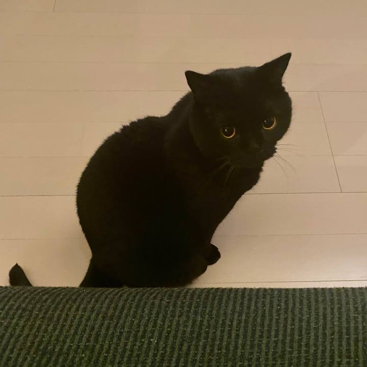 Fabe60c5 ff71 4098 9249 18c5dbced97b 1634642715896