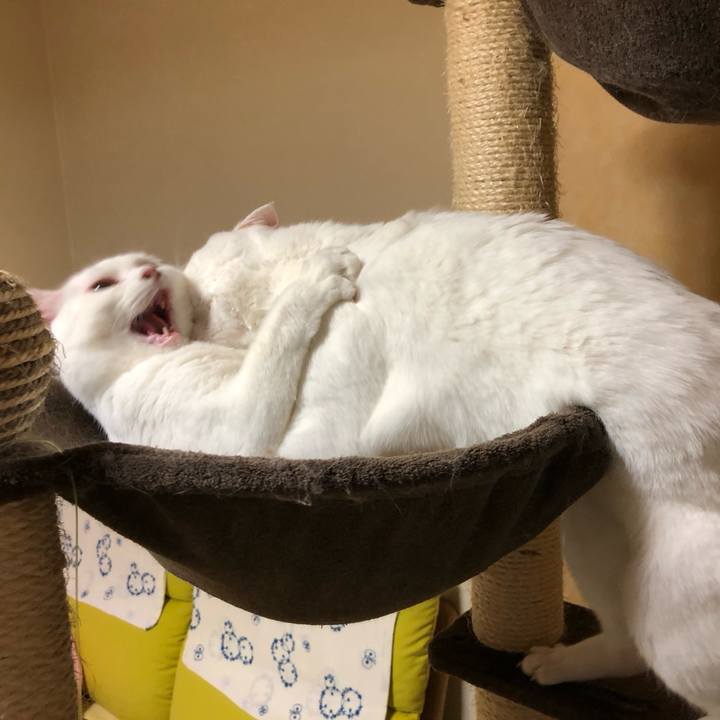 Fabe667b c3c7 4929 b613 d6c3cb76d9e2 1561551390887