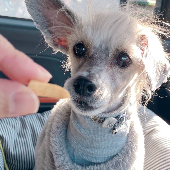 Fabe9e2e fbc1 4d97 bb93 1e983307c6da 1768986484028