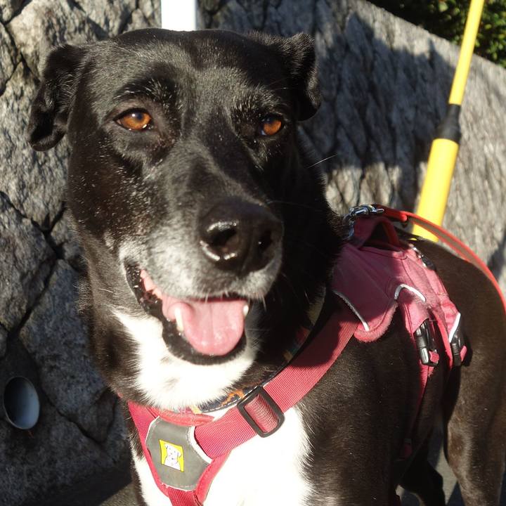 Fabeaee3 ab39 48b5 b77d 6b2bb852fb61 1701218273656