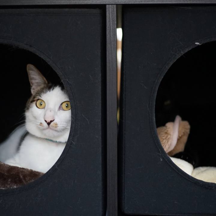 Fabeb683 e1d4 4f2c b442 8dad8a8dbe15 1525321434629