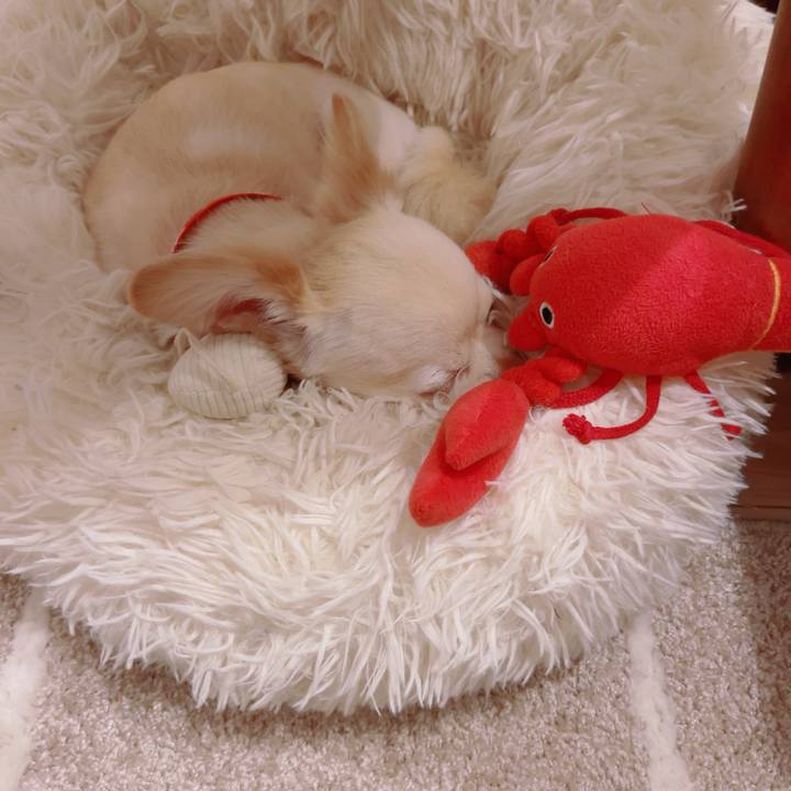 Fabed7dc 024d 449e a0bd 2a1ec0d35a8e 1757152344211