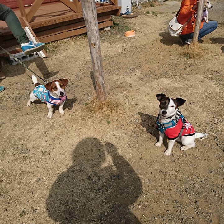 Fabf1920 d9e4 4bc0 a742 e0272c817e6a 1519529960168