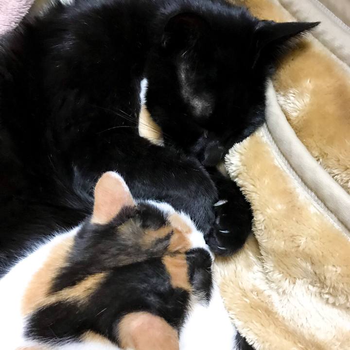 Fabf69d0 a059 4c73 9192 2f9aa4bf58f1 1516583311436