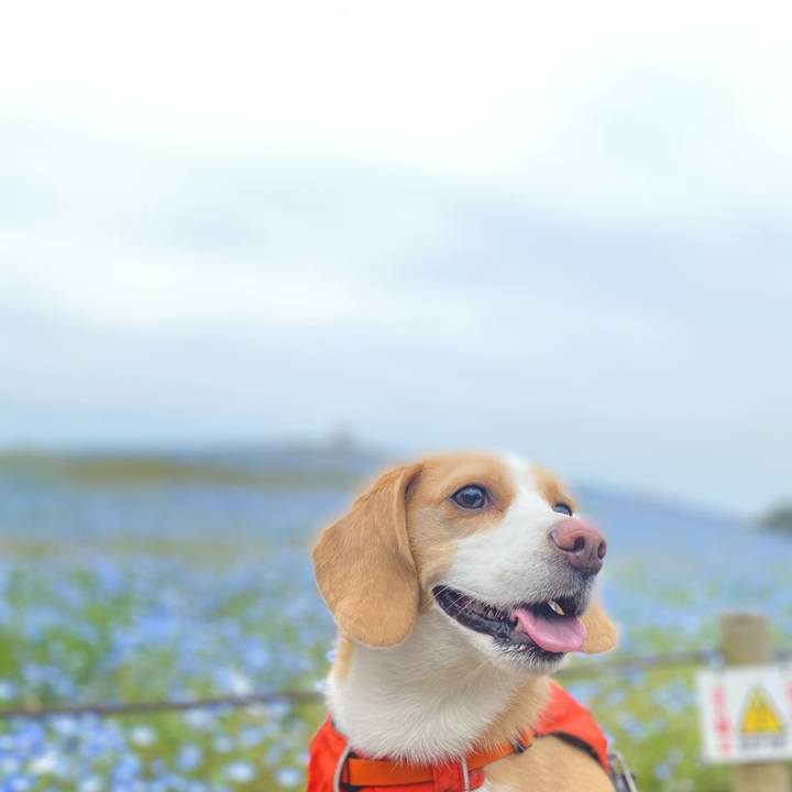 Fabf8b0e 76c1 47c9 9741 288e90c4d0a1 1620445216372