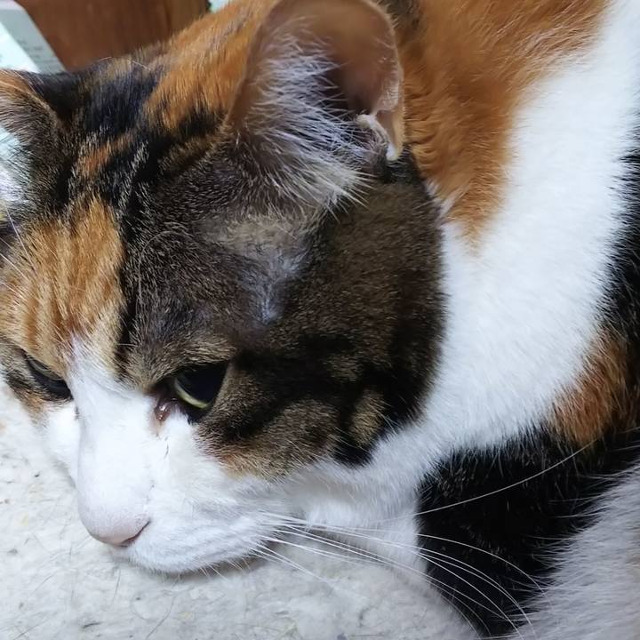 Fabf9e45 6300 4bc8 8aa7 785c069e541d 1580852390860