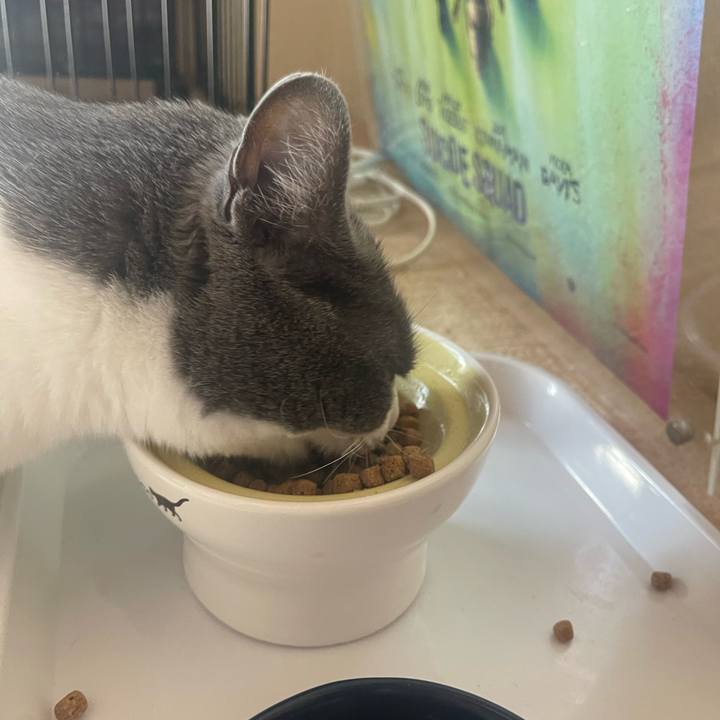 Fabfa3ce 24d3 43fd aadd 8bfa8f54d996 1680484900481