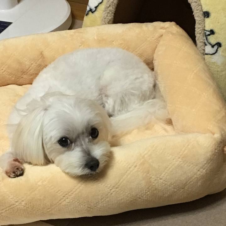 Fabfba01 0ede 4f37 9d1b 37ec96f83a32 1537879345025