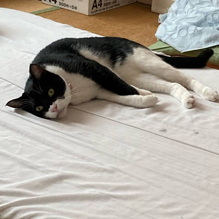 Fabfbe7f 4160 4388 9b16 b8a90040d16c 1662630542841