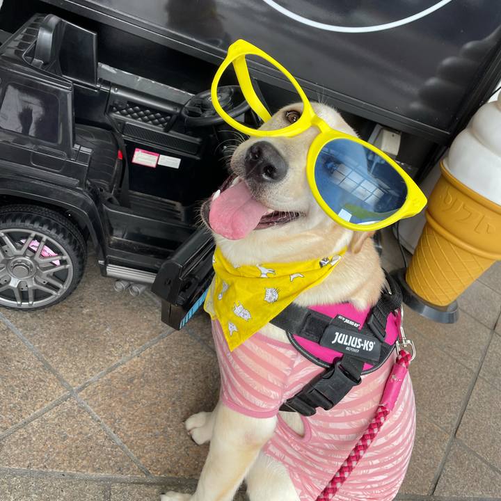 Fabfd0c4 2aac 473e 8892 67cc6bf993c5 1627873226220