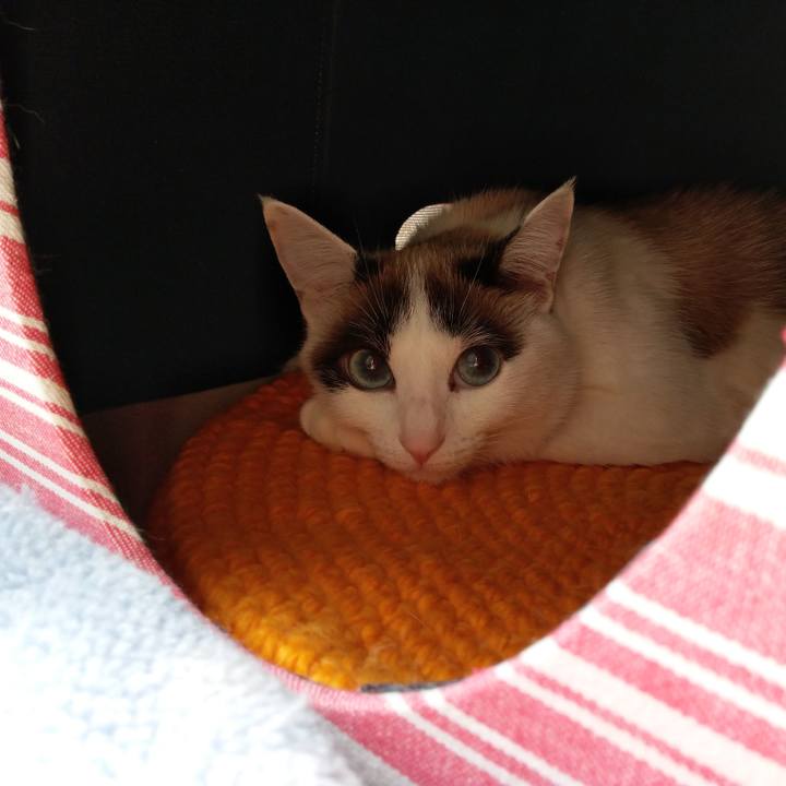 Fabfd845 9283 4ecf a089 41f3cf2fb5c5 1547429579595