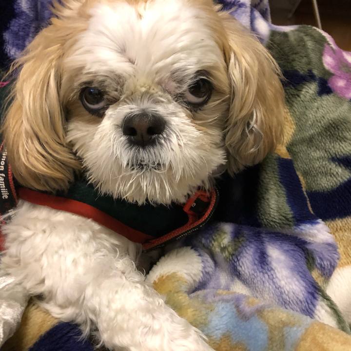 Fabff3a6 e418 4207 89e8 811e511fd3f3 1605649961910