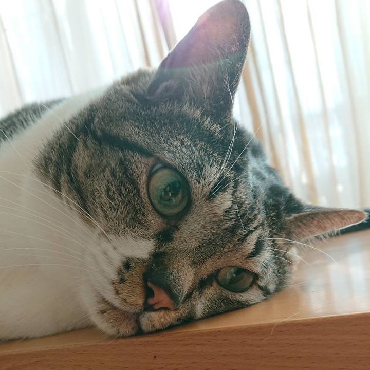 Fac00409 024d 4f88 ac5f e4471055280d 1531866824643