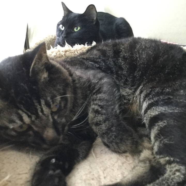 Fac0184e e6f7 4026 b7de 106bc00335a7 1601192776124