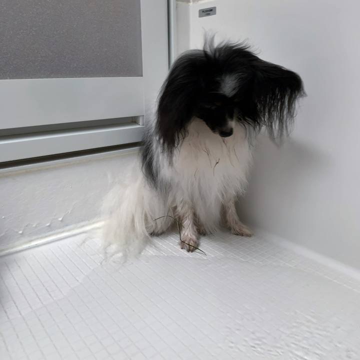 Fac05b2e c9af 403b 9612 5a65b198a8da 1563402428386