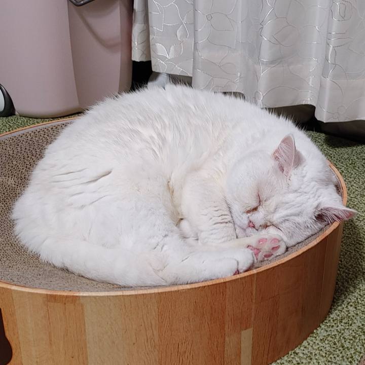 Fac06944 b650 49bf 9963 74a515b134c8 1638797096818