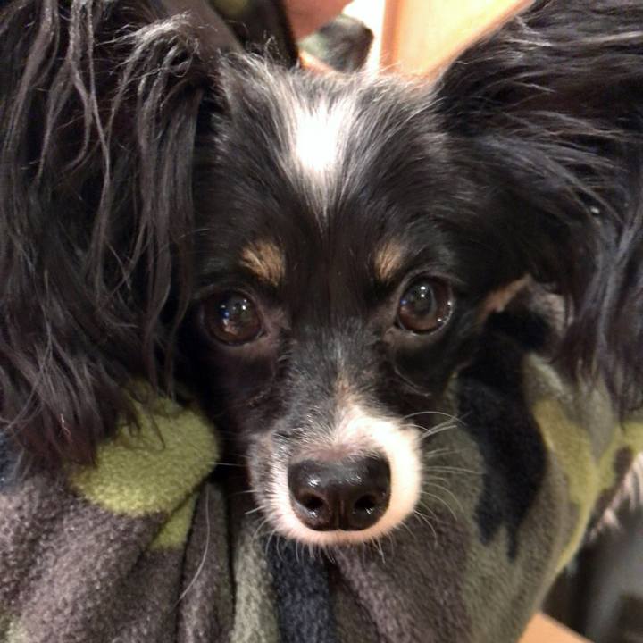 Fac072dd 9479 4a4f 8704 710e321362dc 1516706792367