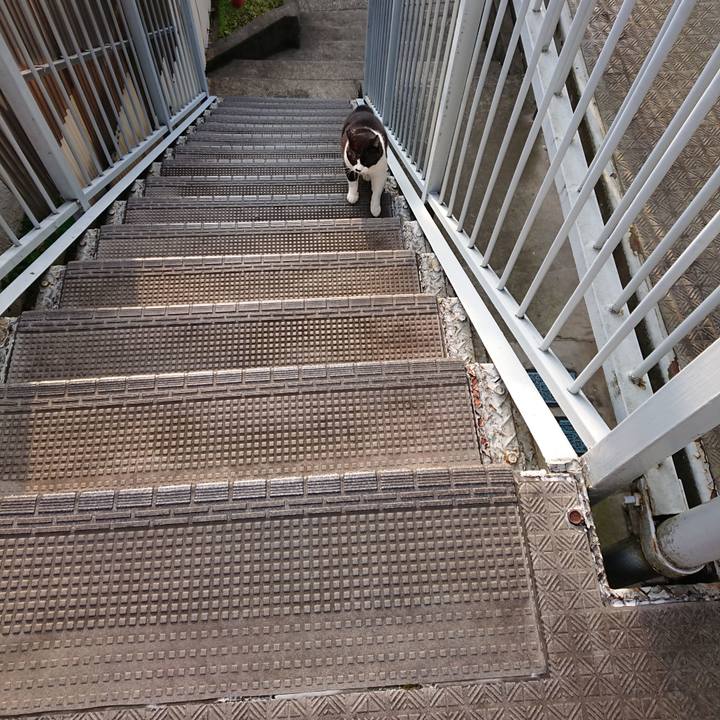 Fac079a5 01cd 452e 94f5 b3682c79dd17 1649289296823