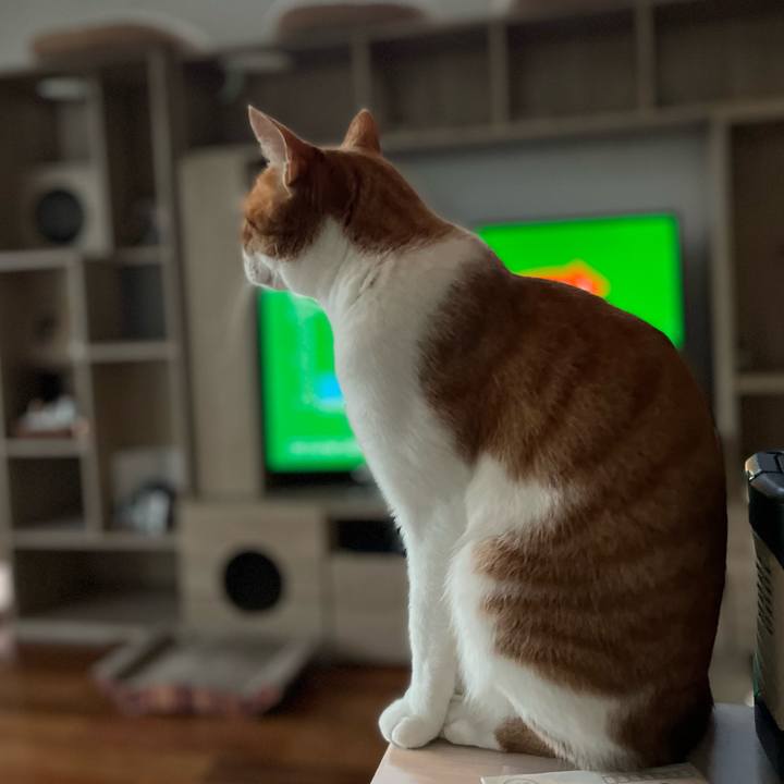 Fac0bca2 1567 4677 8979 69aa1df41c0b 1664310756423