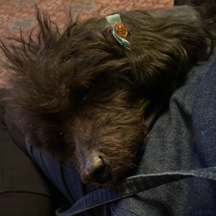 Fac0c718 627f 45b6 a471 3551017c9120 1608123663840