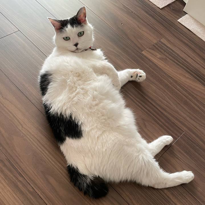 Fac0e798 f059 4cba 9528 373d220abe71 1642316388385