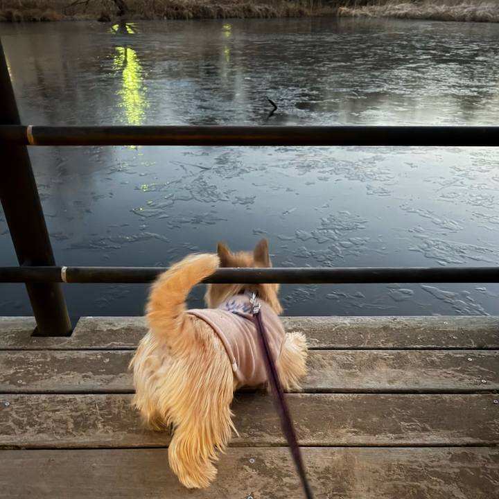 Fac0f90a 3478 48e0 86df eca85bfbf891 1768293561685