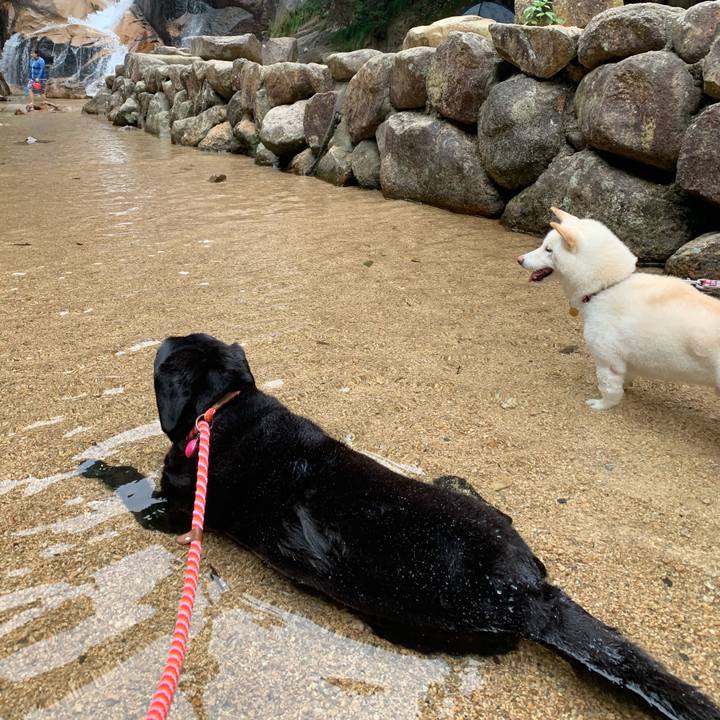 Fac0fb50 d7ff 44d2 b79a 089e336aedbd 1598139770190