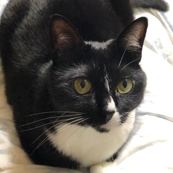 Fac12b4b 0b3d 4229 b413 1f9794a28506 1569534072607