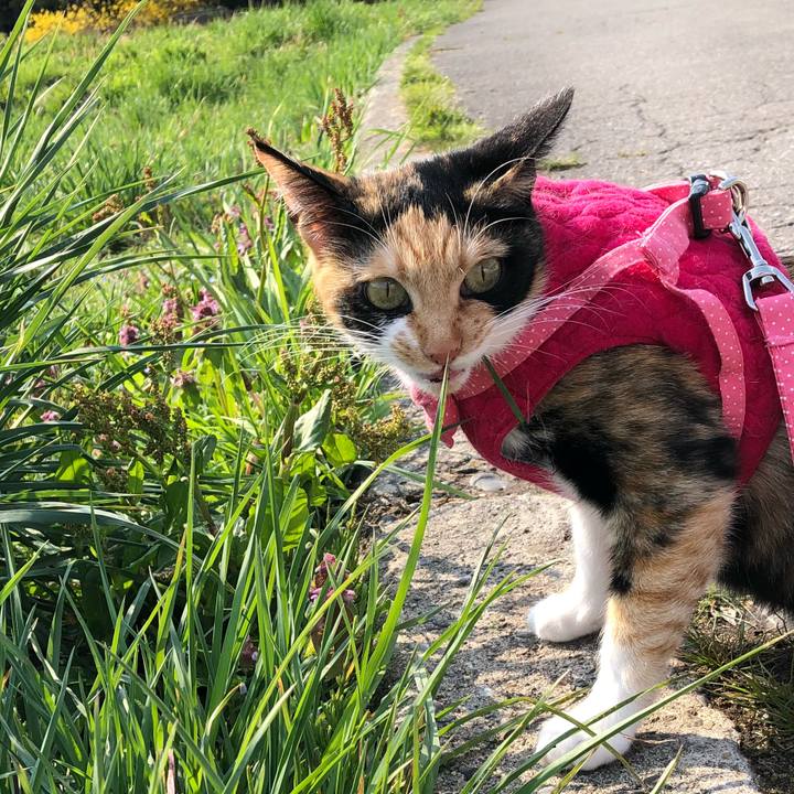 Fac15d9e 168c 413e aab0 728d4b02a25c 1524230284796