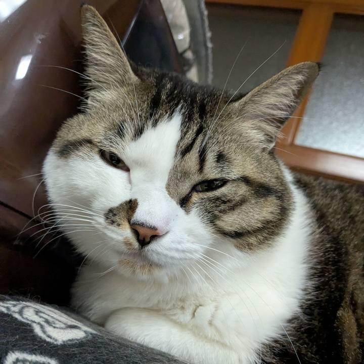 Fac16f23 3379 40cd a591 50d7be32a6ab 1738582256310