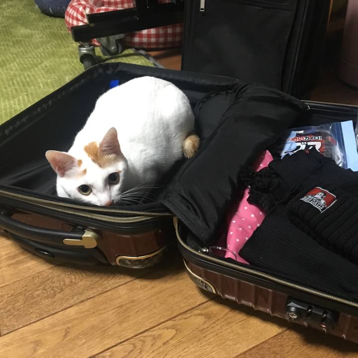 Fac18ece d234 4e99 8c02 05c3da9719b8 1547559631186