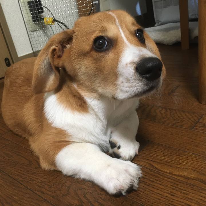 Fac1a428 5a5c 448d ba90 479faa197b23 1592523967320