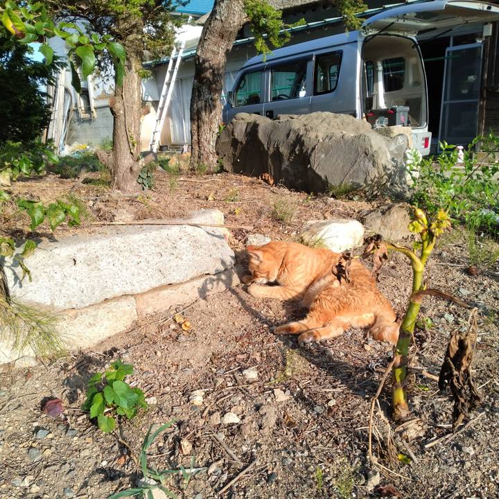 Fac1a432 c855 4e5e 8398 1989496b7f74 1693262465969