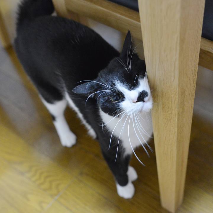 Fac1a796 7c0d 4bc7 a169 9eeb160a5f21 1540905380657