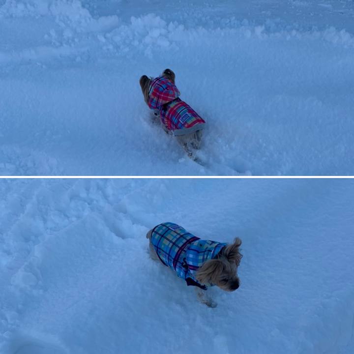 Fac1b0dc a9b6 441b 9b22 30bc22d9ae87 1640597471193