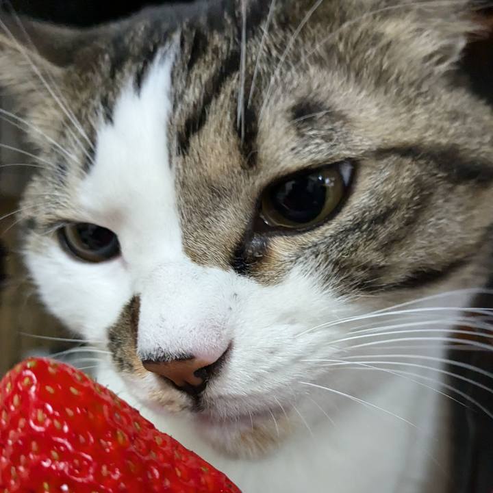 Fac1f852 5638 4b66 9cd3 d4d05ceb9a1b 1734434939650