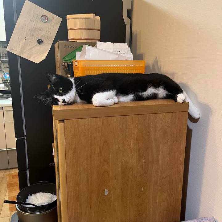 Fac229f3 3bc5 4b8c 9647 bbfbc1216763 1714567112726