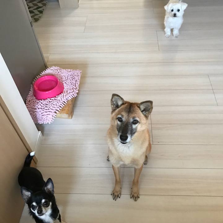 Fac2539d f57e 4113 ab4e 824977ad6655 1510817476406