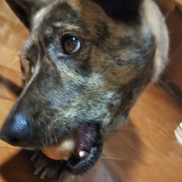 Fac25ee1 b161 475b 95c1 a1407378d7c2 1524309961570