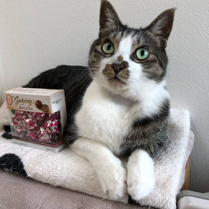 Fac2682e a91f 44f4 a9d3 8ab0cb9d4658 1518562700685