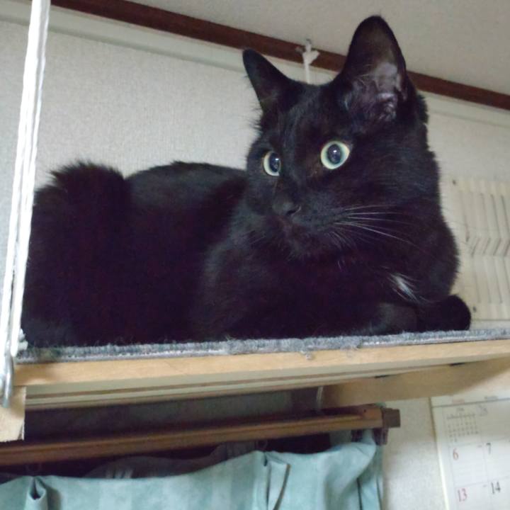 Fac2a937 a7be 4f95 80f4 9e041b281e35 1647606390070